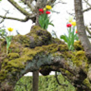 Meet your Posher, Whitney